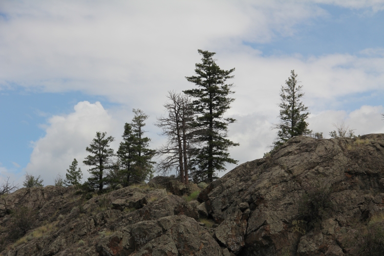 Overlooking Kamloops Lake